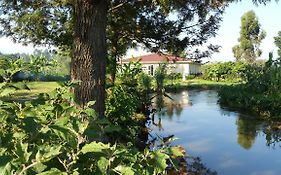 Mucha Lodges